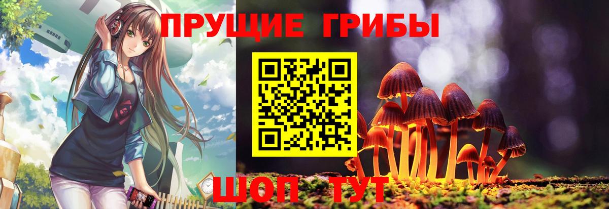 Псилоцибиновые грибы Psilocybine cubensis Тимашёвск